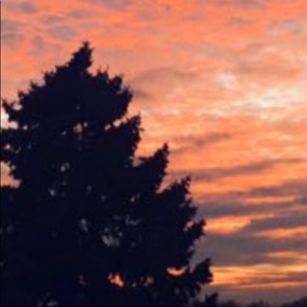 Meet your Posher, Mahmudhv